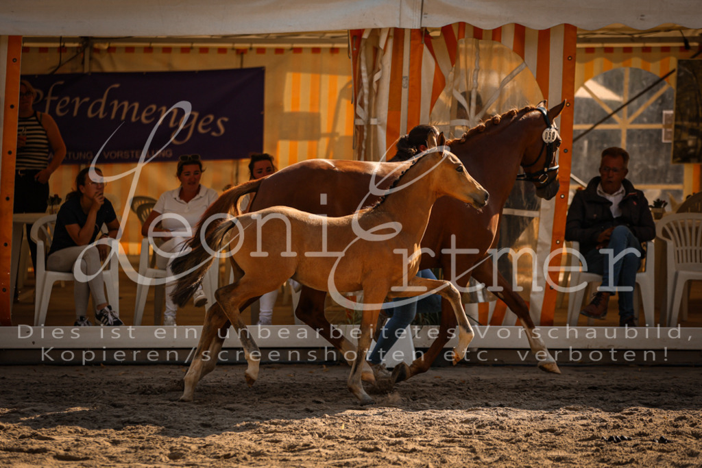 11.DoRP00152 | Leoni Ertmer Photography - Realisiert mit Pictrs.com