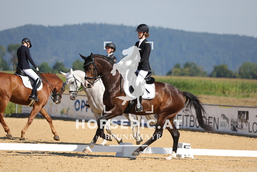 0P6A9113 | Willkommen bei Brunnmayr - Design & Fotografie – Ihrem Spezialisten für Reitturniere und Pferdeveranstaltungen in Oberösterreich, Salzburg und Bayern! Seit über 17 Jahren sind wir leidenschaftlich dabei.