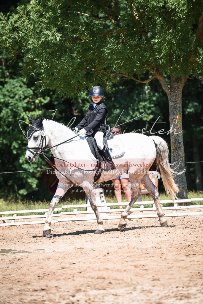 DSC_3123 | Pferde- und Turnierfotografie in Westsachsen. Pferdeportraits, Auftragszeichnungen und intuitive Kunst.
