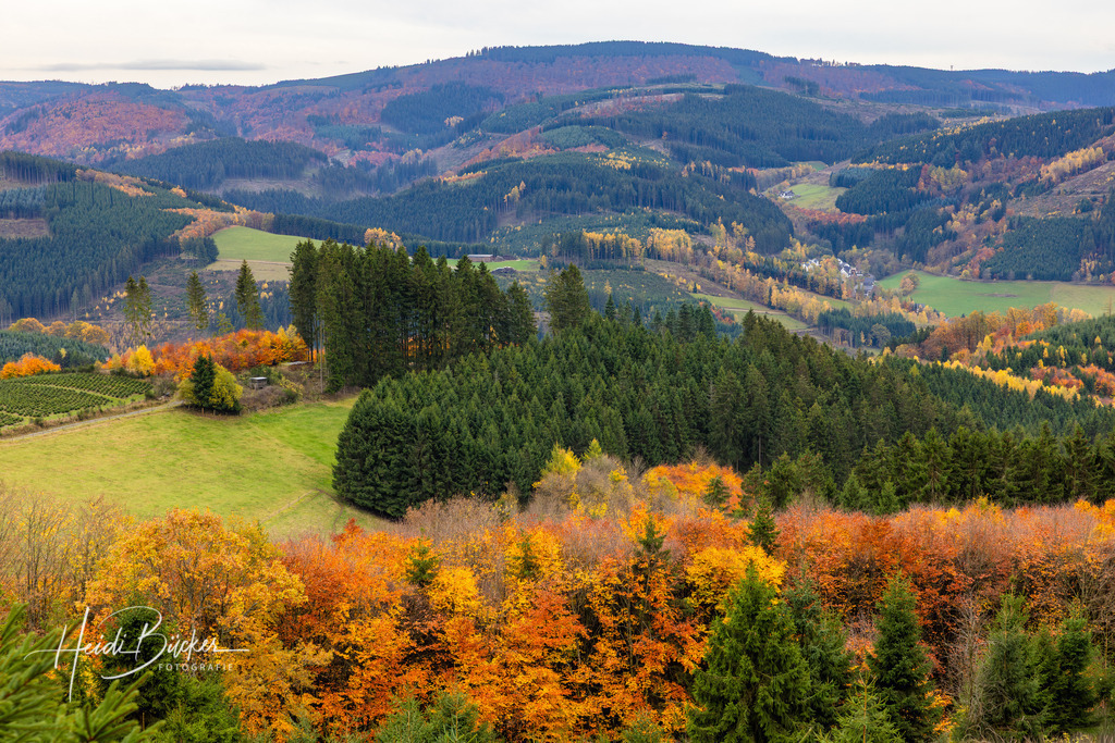 Herbst im Sauerland | Herbst im Sauerland - Realisiert mit Pictrs.com