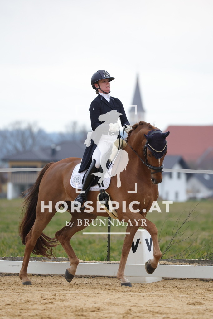 0P6A5542 | Willkommen bei Brunnmayr - Design & Fotografie – Ihrem Spezialisten für Reitturniere und Pferdeveranstaltungen in Oberösterreich, Salzburg und Bayern! Seit über 17 Jahren sind wir leidenschaftlich dabei.