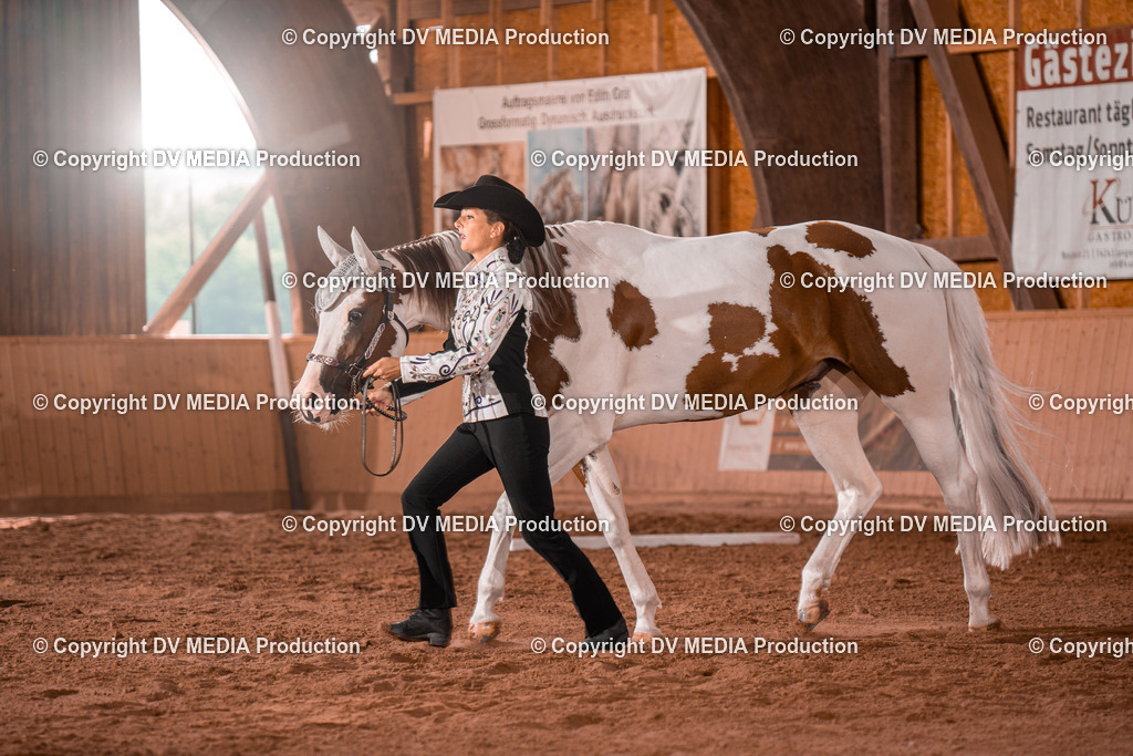 NE200079 | dv-media-shop - Realisiert mit Pictrs.com