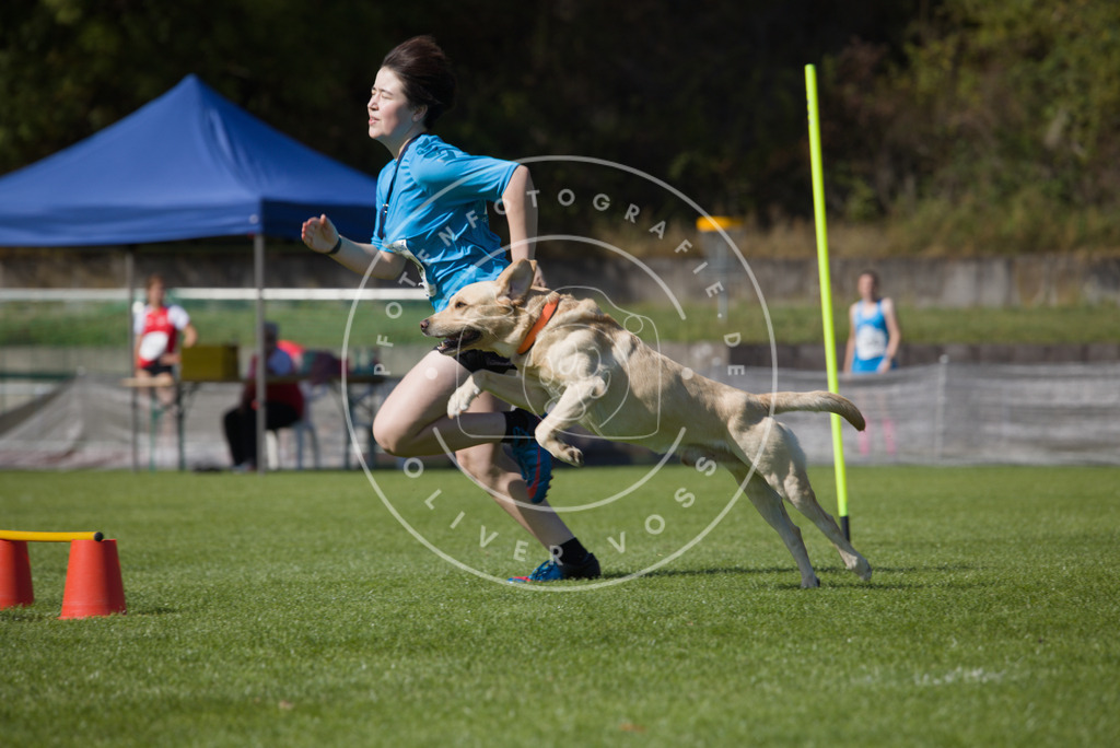 0L8A7405 | Hundefotografie, Tierfotograf, Pfotenfotografie, Fotoshooting Hund, Hunde Portrait, Hundesport, Hundeportraits, Heideshooting, Hunde, Sportfotograf, Hundefotograf, Turnierhundsport, THS,  - Realisiert mit Pictrs.com