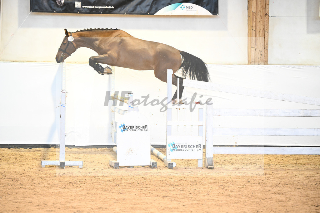 Kat-Nr. 26 v. Ermitage Kalone_Roedl_6241176 | hf-fotografie - Realisiert mit Pictrs.com
