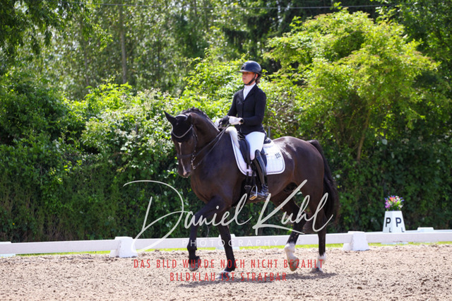 DKP41127 | Turnierfotos kaufen im Webshop von Daniel Kuhl Photography – entdecke professionelle Reitsportfotos aus Turnieren & Events. Hochwertige Turnierbilder online bestellen & sichern. Jetzt Fotos von Reitsportturnieren kaufen!