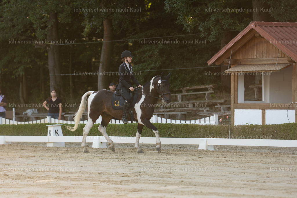WA_DR_115_SinaFilmArt_IN00095 | working equitationturnier fotograf videograf stoibphotography marixx film working equitation deutschland reitsport turnierfotografie eventfotografie equestrian events