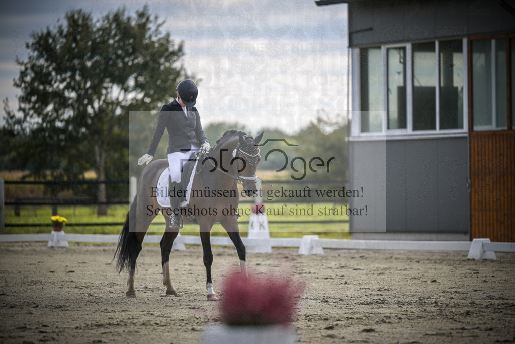 DOS_1241 | Entdecke hochwertige Reitturnierfotos von Foto Oger. Professionell, emotional und authentisch – jetzt Lieblingsmomente im Shop bestellen.Deutschlandweite Turnierfotografie. - Realized with Pictrs.com
