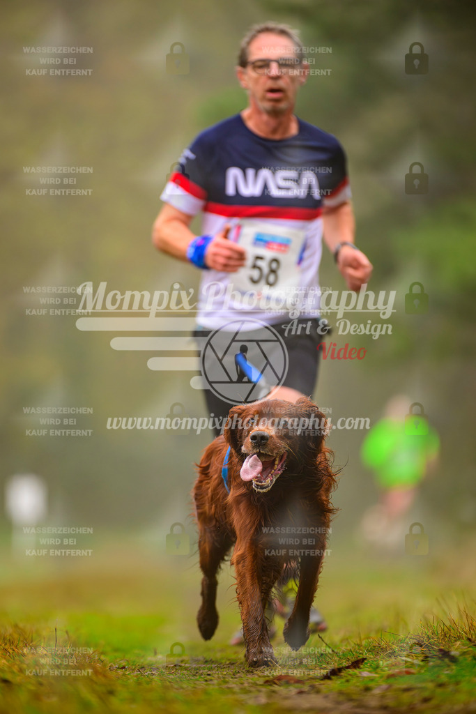 MompixPhotography_Bischwiller2025_Canicross-85 | mompixphotography