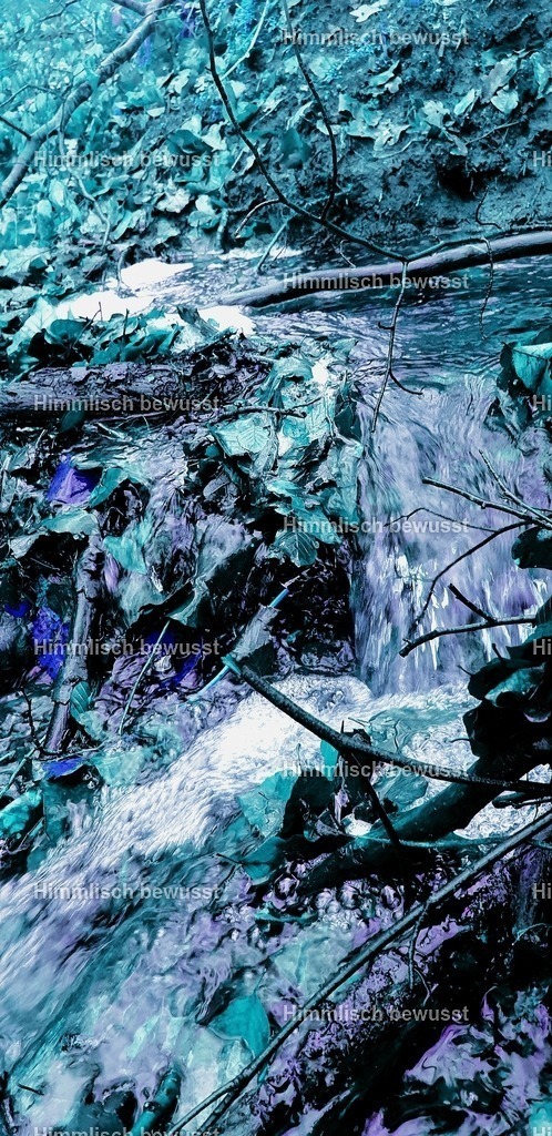 20200225_224950 | Energiebilder der neuen Zeit aus der  Natur,  Tauchen Sie ein in neue Dimensionen, Viola Bous, Dieburg, - Licht_Art-Coaching,  - Realisiert mit Pictrs.com