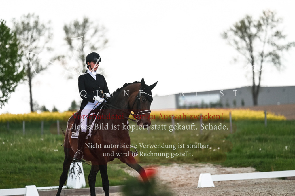 20230514_JK-Röhrsdorf-21-518 | Pferde- und Turnierfotografie in Westsachsen. Pferdeportraits, Auftragszeichnungen und intuitive Kunst.