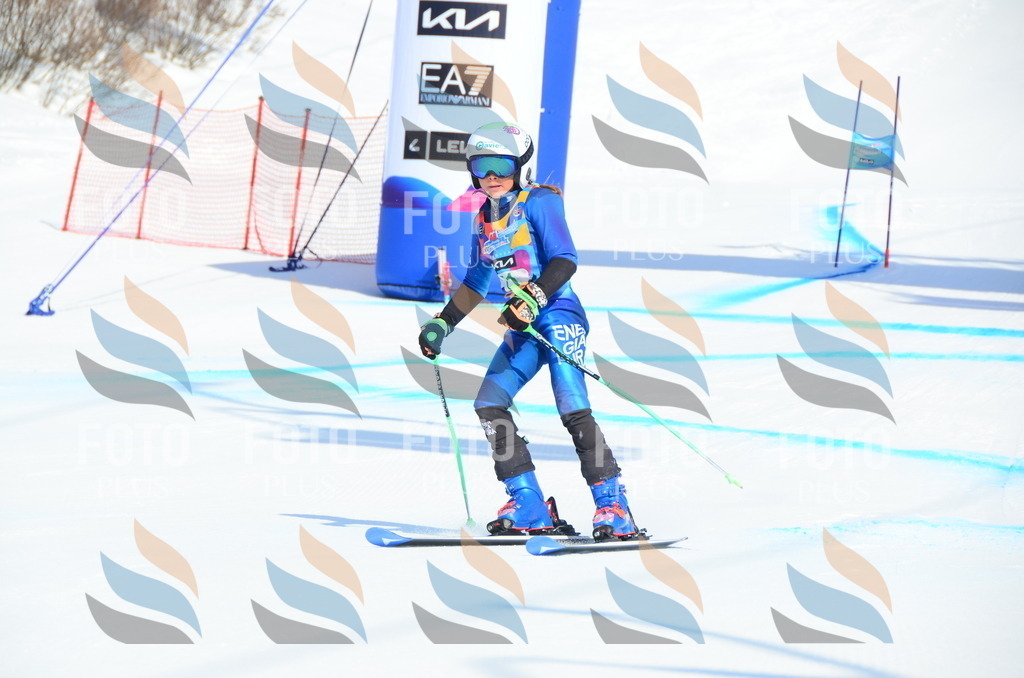 DSC_0418 | holidayphoto