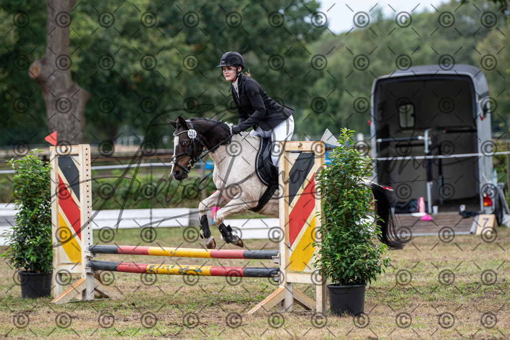 SHT_7676 | andre_photographic