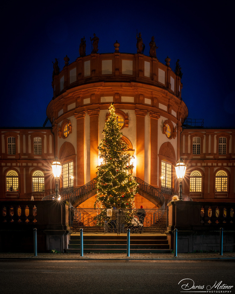 _DSC6799 2 | Fotografien, Fotos und Bilder aus Mainz, Frankfurt, Wiesbaden und anderen Orten auf der Welt - Fotografiert von Darius Metzner