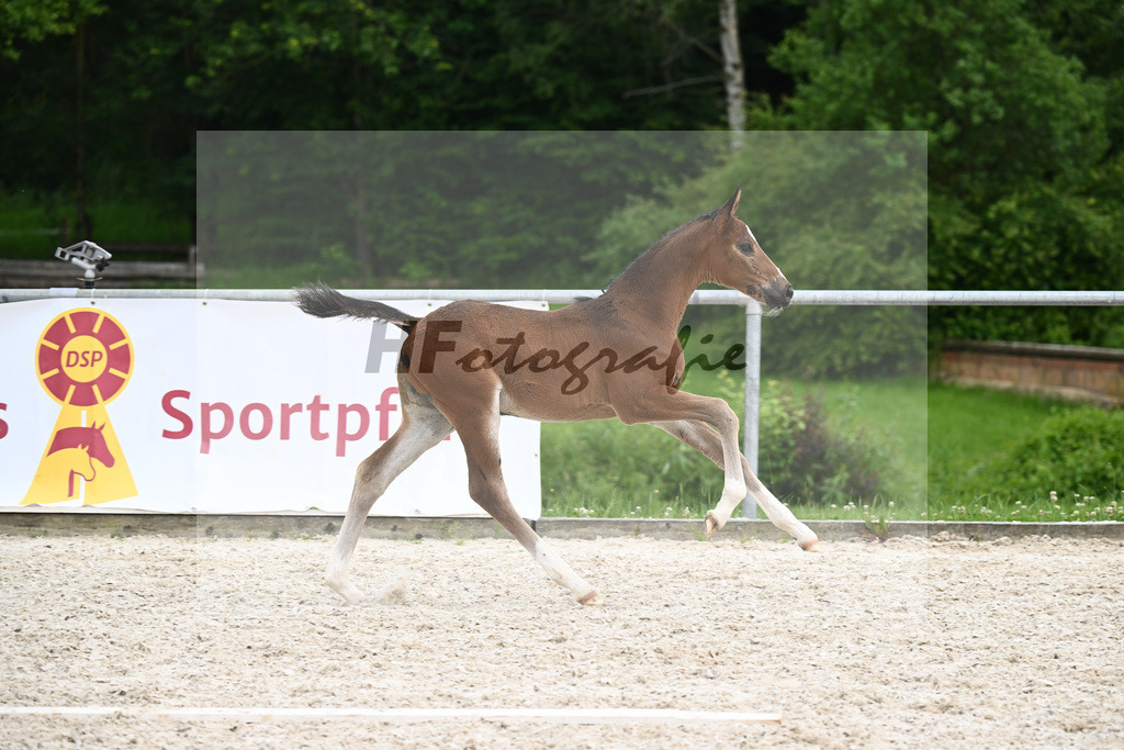 Diacord x Ciacomini_SF_Trukenbrod_20241164 | hf-fotografie - Realisiert mit Pictrs.com
