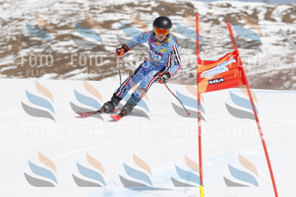 _U3G1892 | holidayphoto