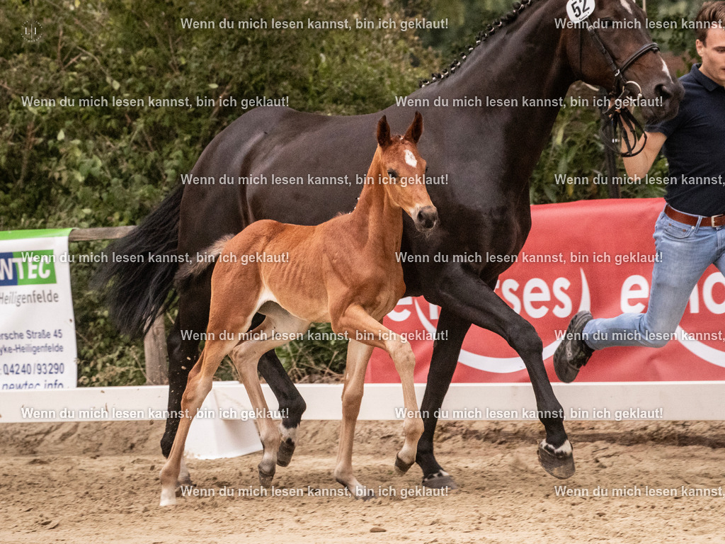 A10I5225 | photographylinaismer - Realisiert mit Pictrs.com