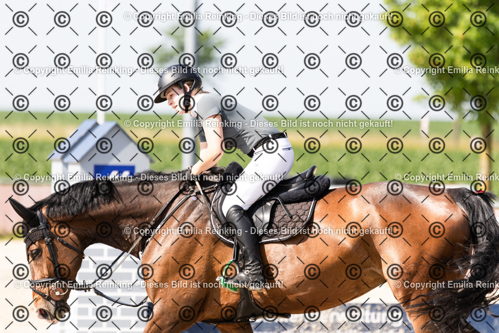 CL5A1117 | Emilia Reinking Fotografie - Realisiert mit Pictrs.com