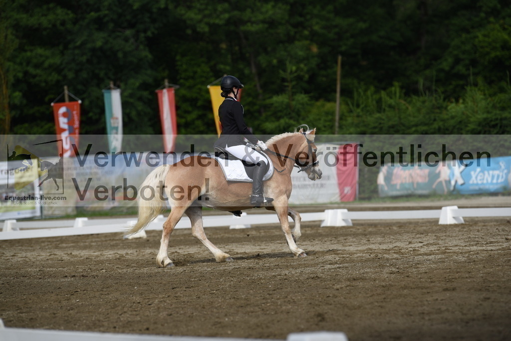 DSC_7746 | equestrian-live-com