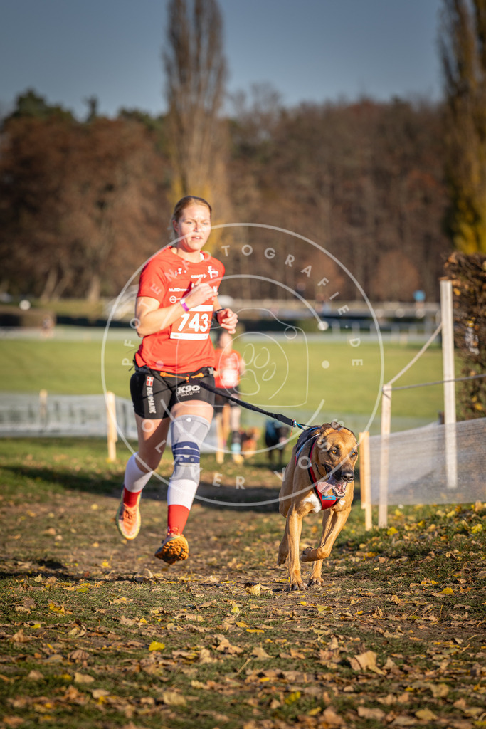 CaniXpix_DV3A2254 | Hundefotografie, Tierfotograf, Pfotenfotografie, Fotoshooting Hund, Hunde Portrait, Hundesport, Hundeportraits, Heideshooting, Hunde, Sportfotograf, Hundefotograf, Turnierhundsport, THS,  - Realisiert mit Pictrs.com