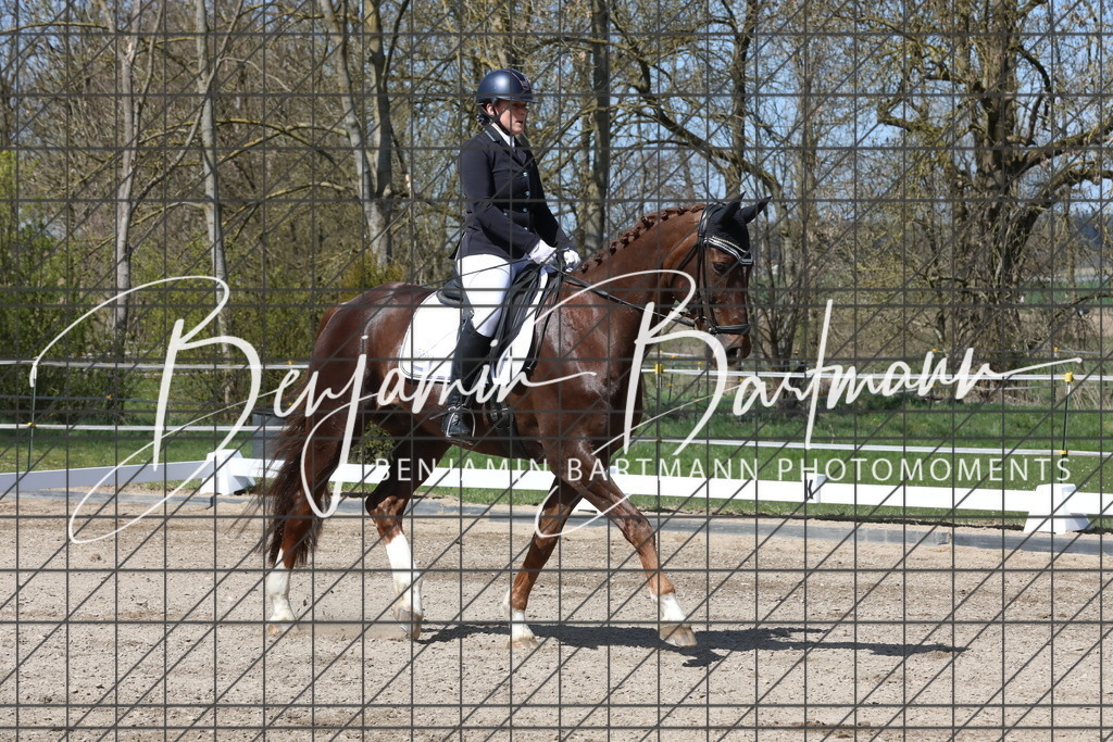 AZ2A4036 | Benjamin Bartmann Photomoments