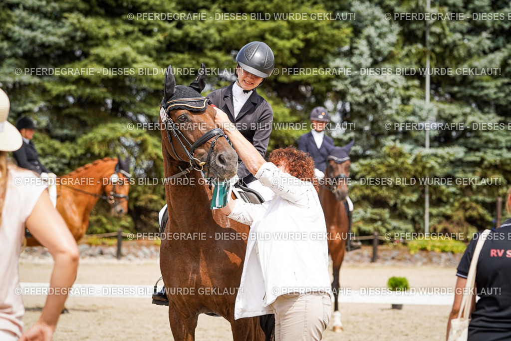 DSC04536 | Pferdegrafie