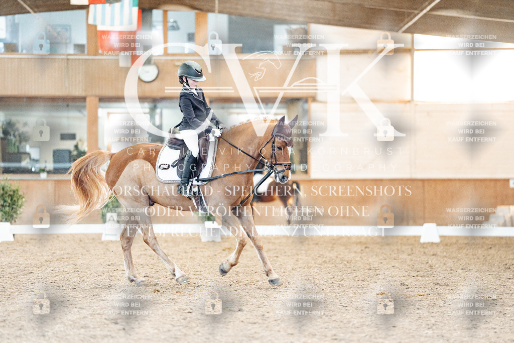CK907991 | Turnierfotografie Pferdefotografie Trier Rheinland-Pfalz Pferdesport Reitsport Tierfotografie Sportfotografie Pferdevideo Pferdevideografie Equestrianvideography equestrianphotography  - Realized with Pictrs.com