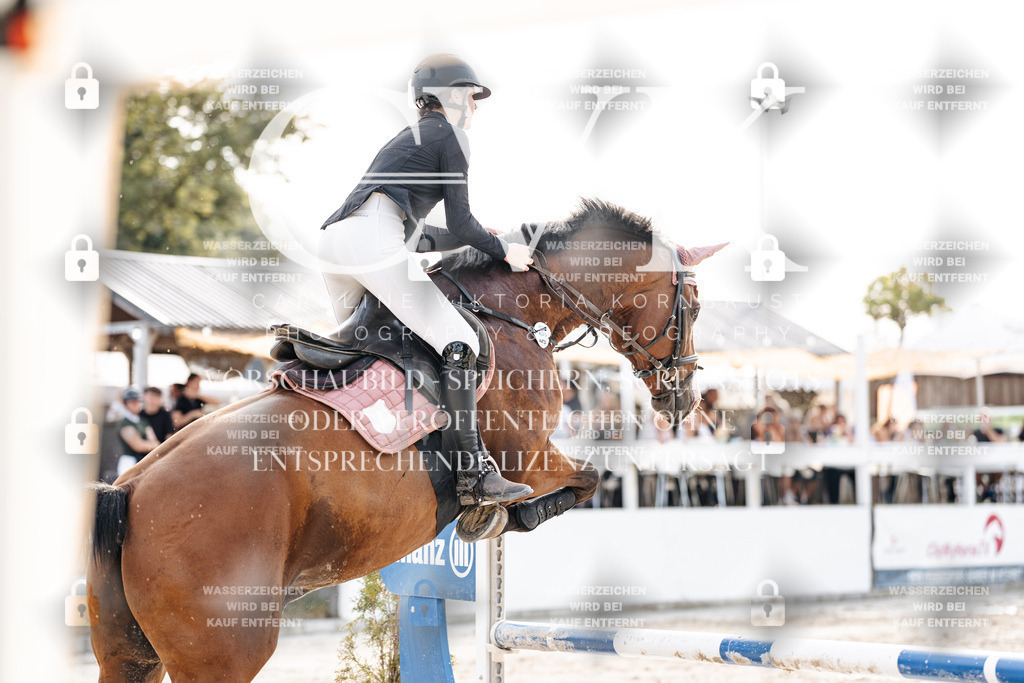 CK906789 | Turnierfotografie Pferdefotografie Trier Rheinland-Pfalz Pferdesport Reitsport Tierfotografie Sportfotografie Pferdevideo Pferdevideografie Equestrianvideography equestrianphotography  - Realisiert mit Pictrs.com