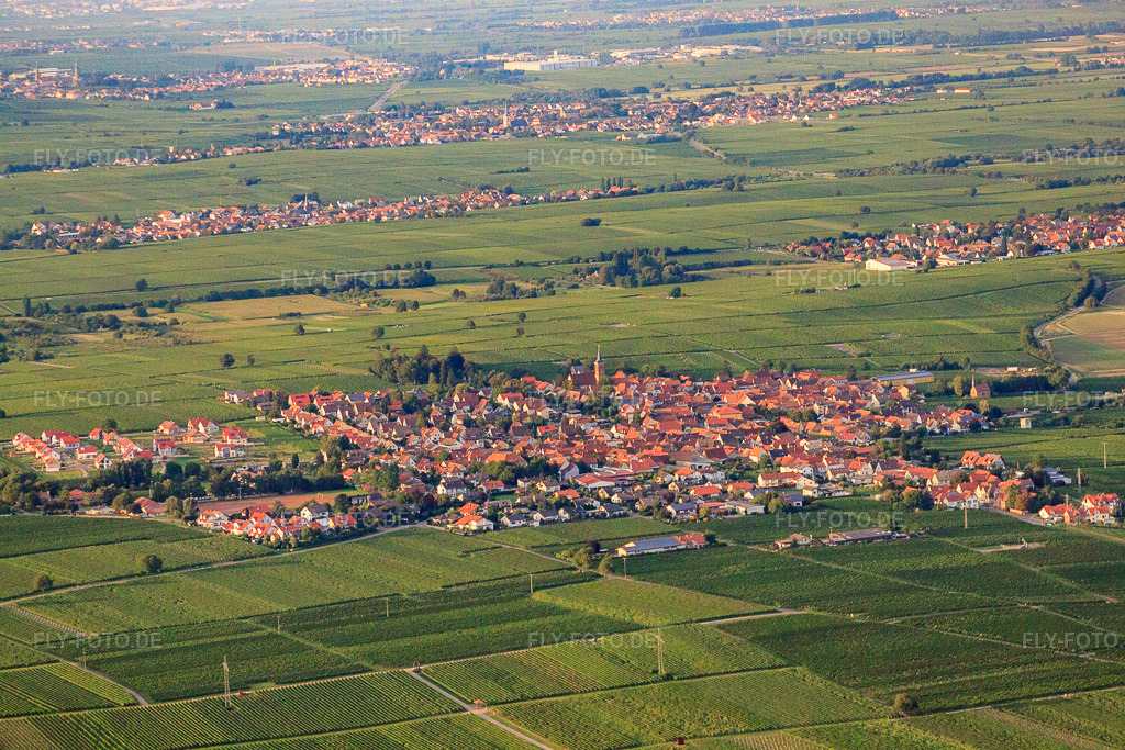 Luftbild: Ortsansicht von Süden im Ortsteil Nußdorf in Landau im Bundesland Rheinland-Pfalz in Deutschland. Foto: IMG_32978.jpg vom 03.09.2010 durch Werner Riehm/FLY-FOTO.deAuflösung des Originals: 4752 x 3168 px