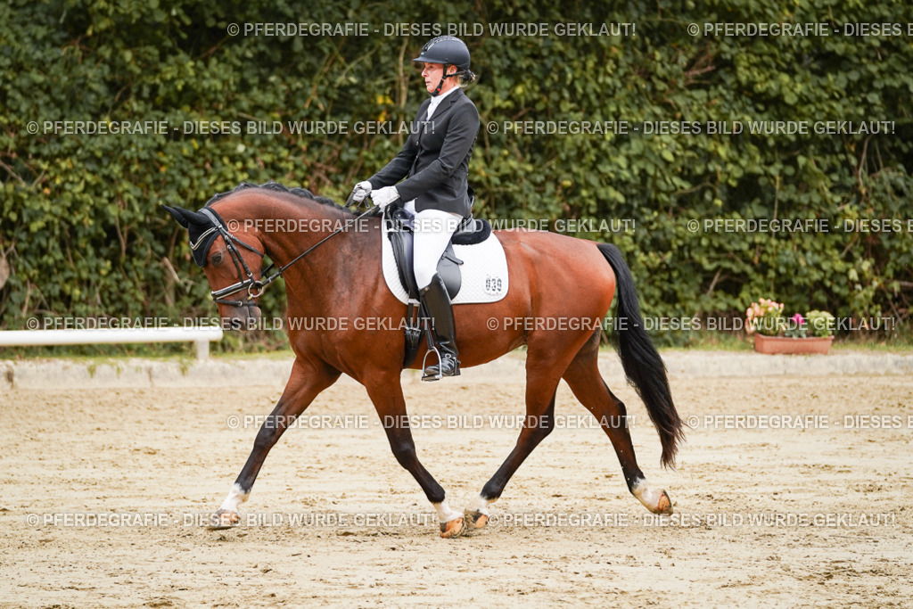 DSC09825 | Pferdegrafie