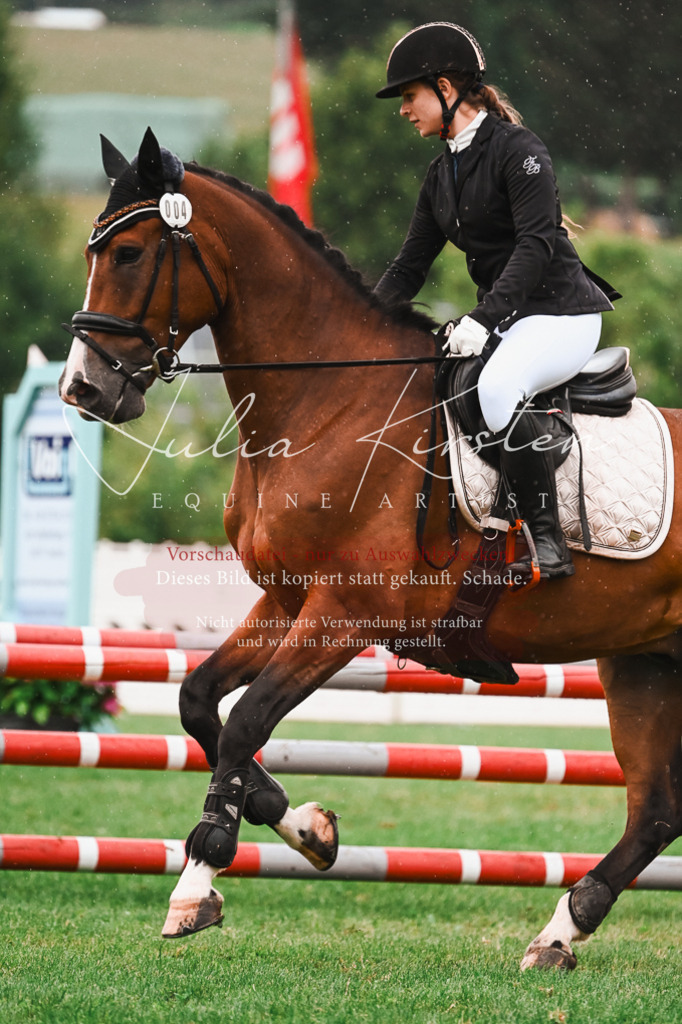 DSC_6598 | Pferde- und Turnierfotografie in Westsachsen. Pferdeportraits, Auftragszeichnungen und intuitive Kunst.