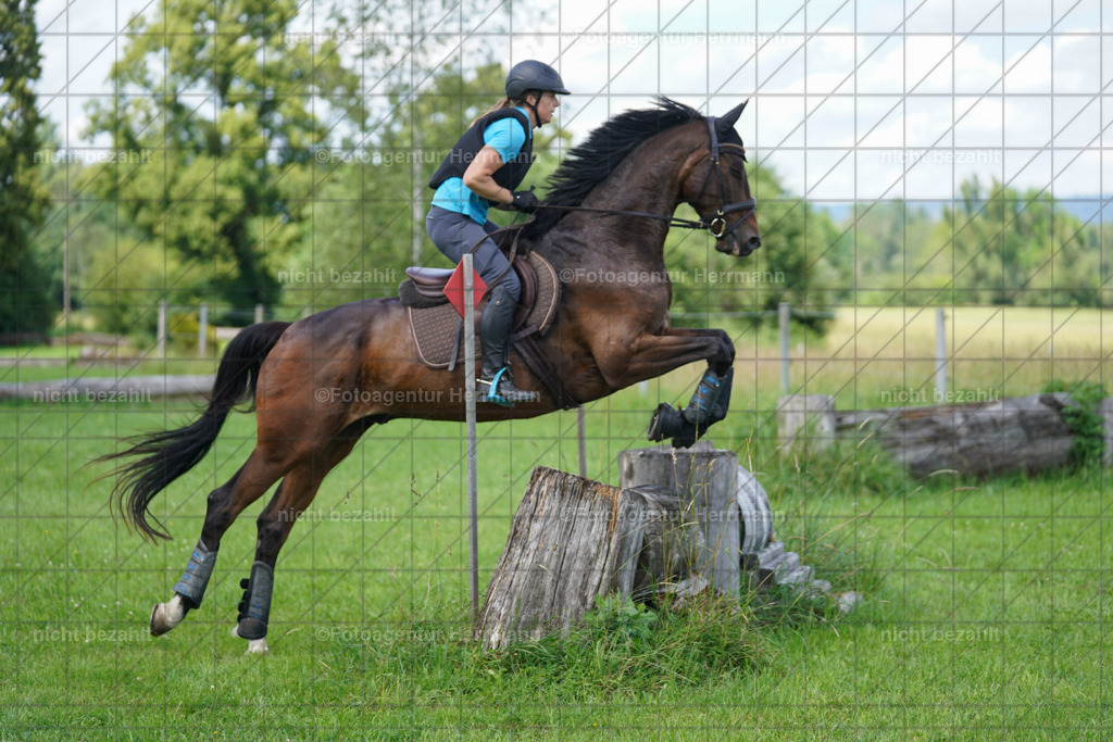 20240622-FAH07684 | Turnierfotografen Bayern, Reitsportbilder aus dem Geländekurs mit Felix Etzel auf dem Gut Waitzacker 2024