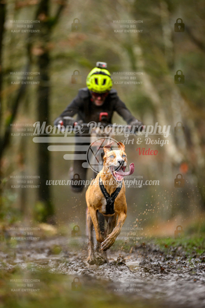 MompixPhotography_CDSM24_SA_DS1-24 | mompixphotography