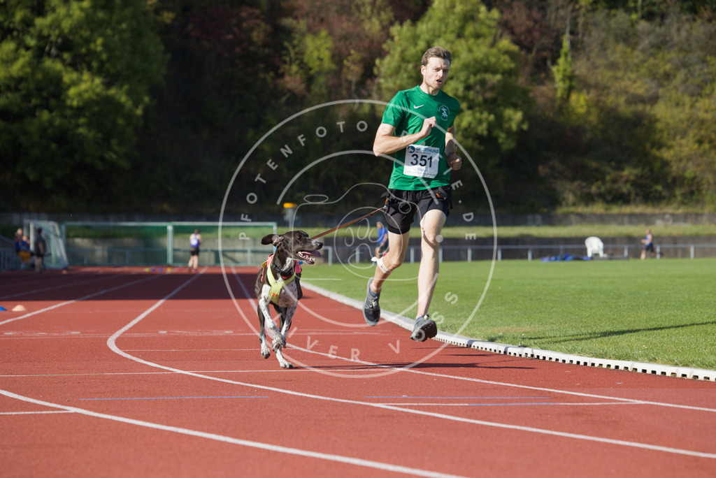 0L8A9781 | Hundefotografie, Tierfotograf, Pfotenfotografie, Fotoshooting Hund, Hunde Portrait, Hundesport, Hundeportraits, Heideshooting, Hunde, Sportfotograf, Hundefotograf, Turnierhundsport, THS,  - Realisiert mit Pictrs.com