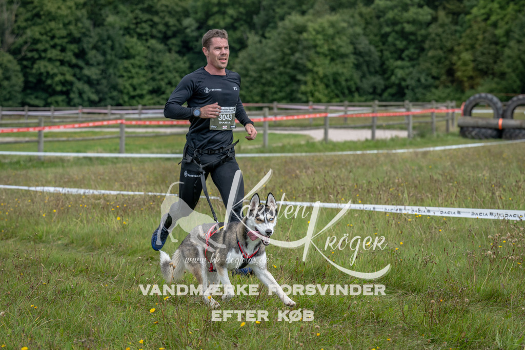 1321_ZZ90870 | kk-dogfotos