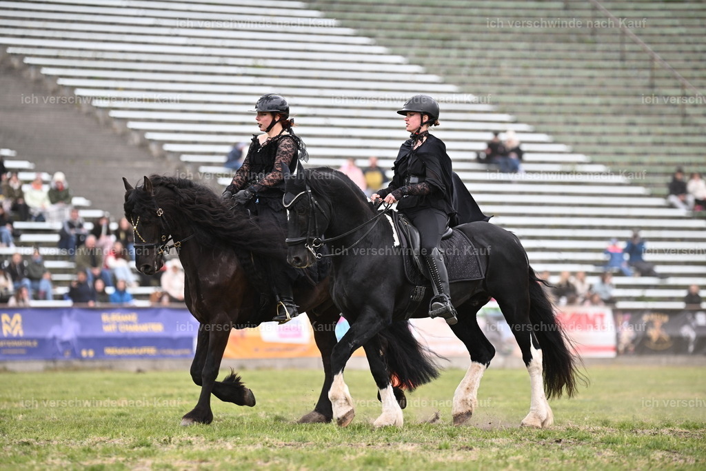 PI26_Show_Sara_Landvogt_226_1247.JPG | working equitationturnier fotograf videograf stoibphotography marixx film working equitation deutschland reitsport turnierfotografie eventfotografie equestrian events