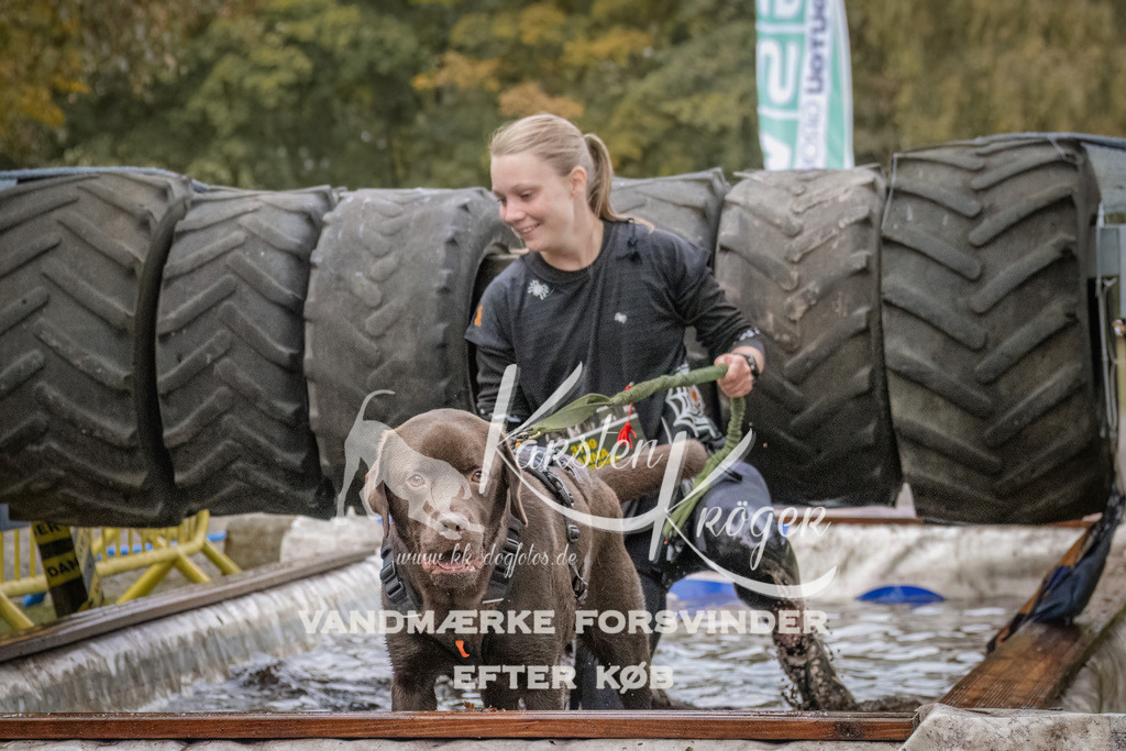 1630_ZZ93785 | kk-dogfotos