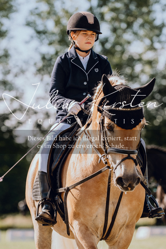 DSC_6879 | Pferde- und Turnierfotografie in Westsachsen. Pferdeportraits, Auftragszeichnungen und intuitive Kunst.