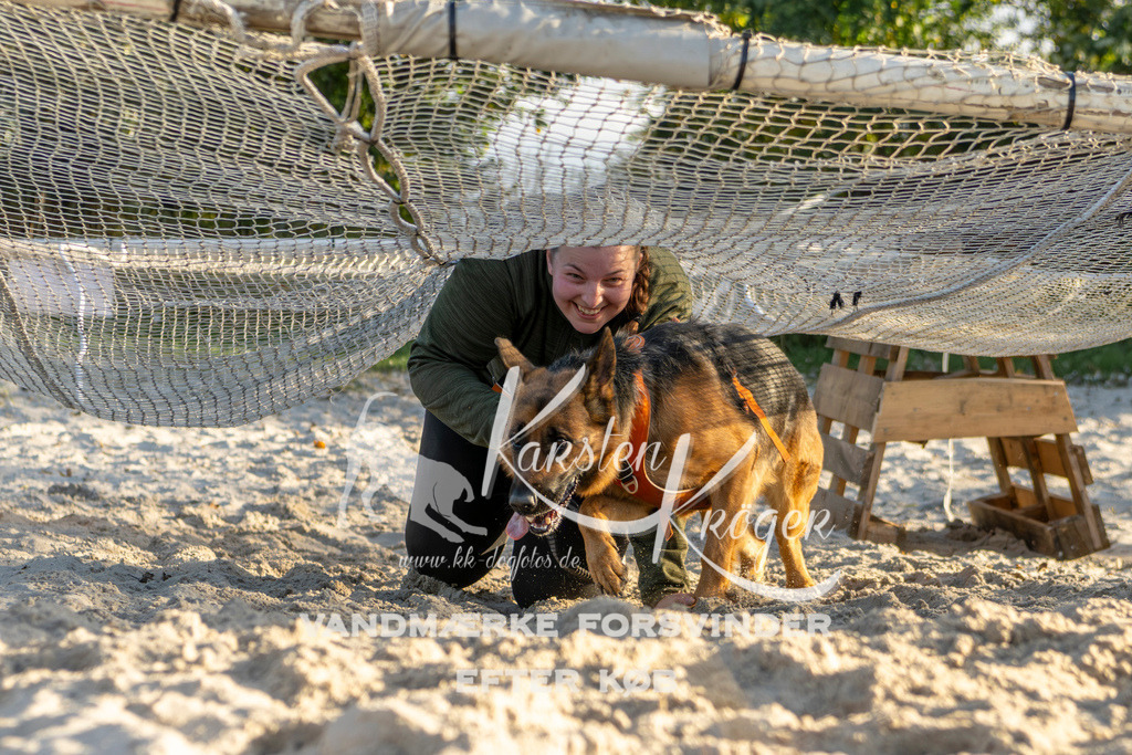 1651_ZZ99797 | kk-dogfotos