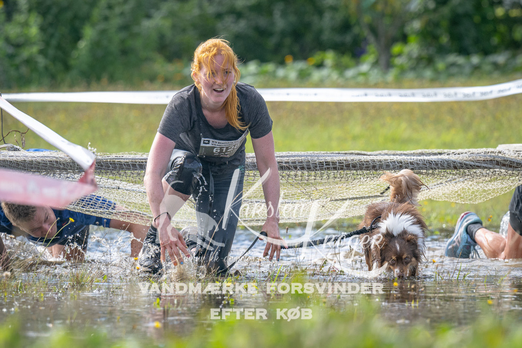 1158_ZZ90701 | kk-dogfotos