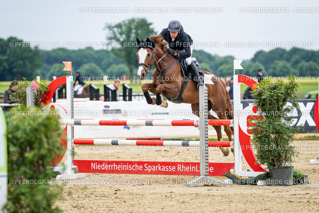 DSC06318 | Pferdegrafie