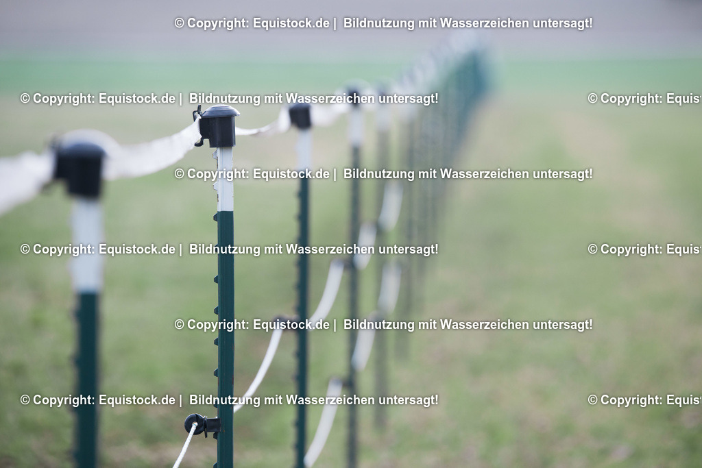 _TPD0935 | equistock