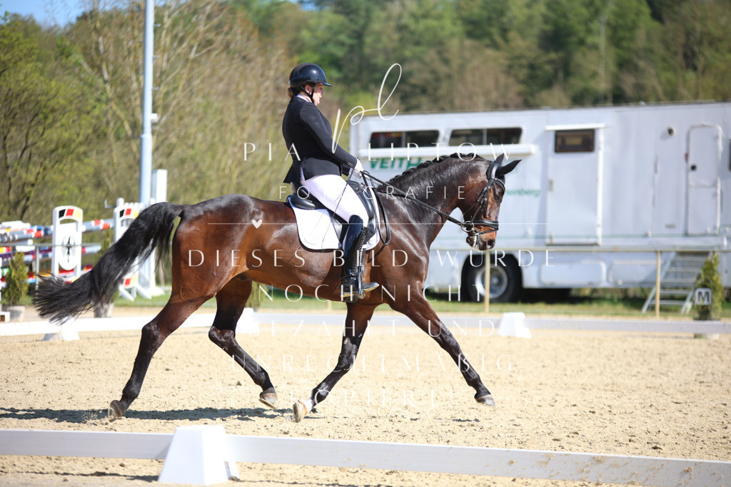 IMGT8557 | pl-fotografie