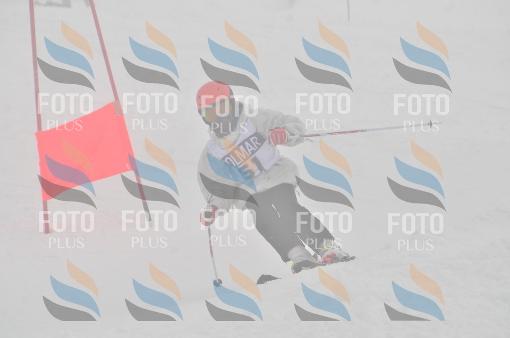 A5391 | holidayphoto