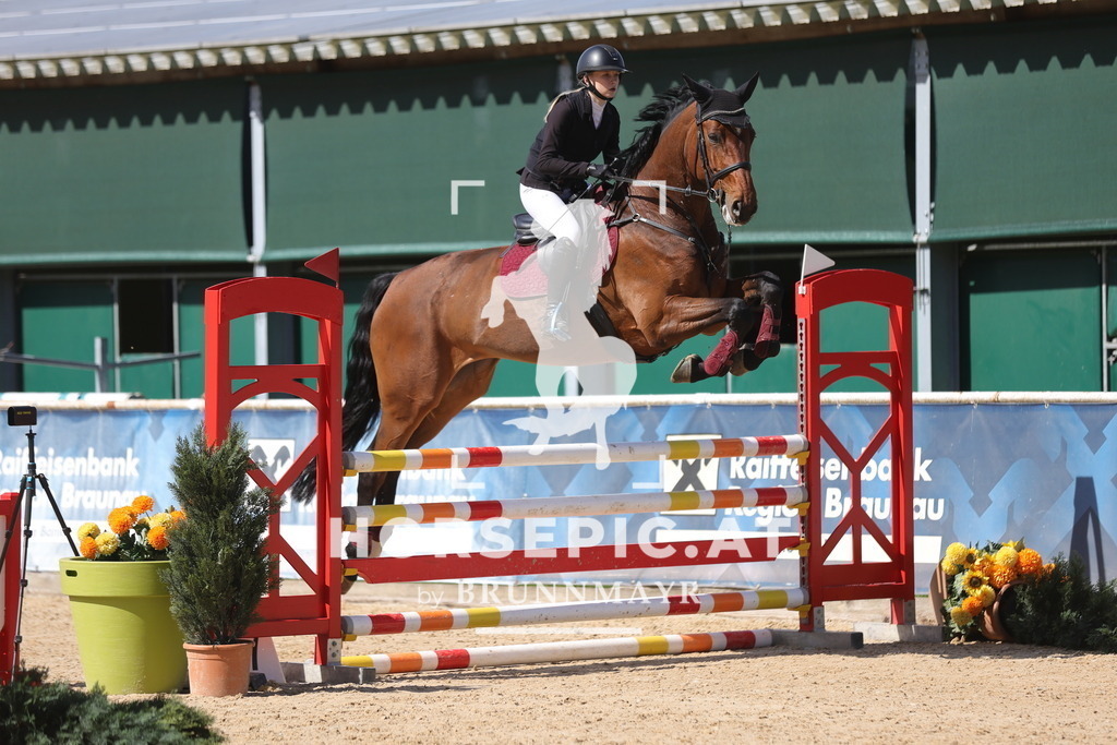 0P6A8948 | Willkommen bei Brunnmayr - Design & Fotografie – Ihrem Spezialisten für Reitturniere und Pferdeveranstaltungen in Oberösterreich, Salzburg und Bayern! Seit über 17 Jahren sind wir leidenschaftlich dabei.
