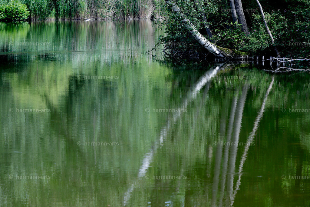 Nature-Arts-003 | Photo Foto Kunst Art schwarzweiss Bilder Rheine Münster Berlin Blumen 