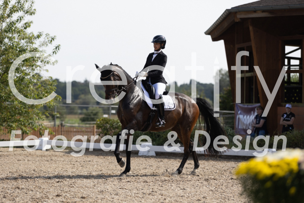 IMG_3774 | Creatify Fotografie