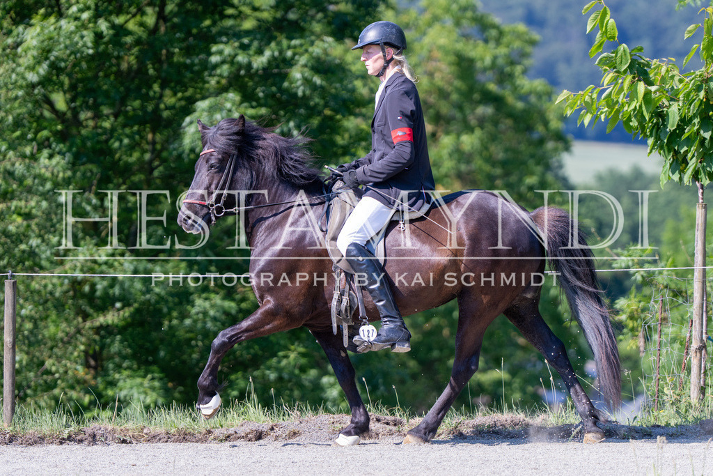KAI06599 | Ihr sucht einen Fotografen für eure nächste OSI? Ich begleite auch euer Turnier für Islandpferde fotografisch.  - Realisiert mit Pictrs.com