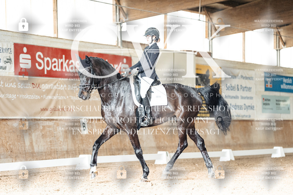 CK902494 | Turnierfotografie Pferdefotografie Trier Rheinland-Pfalz Pferdesport Reitsport Tierfotografie Sportfotografie Pferdevideo Pferdevideografie Equestrianvideography equestrianphotography  - Realisiert mit Pictrs.com