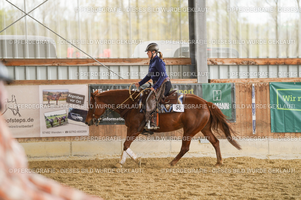 DSC08687 | Pferdegrafie