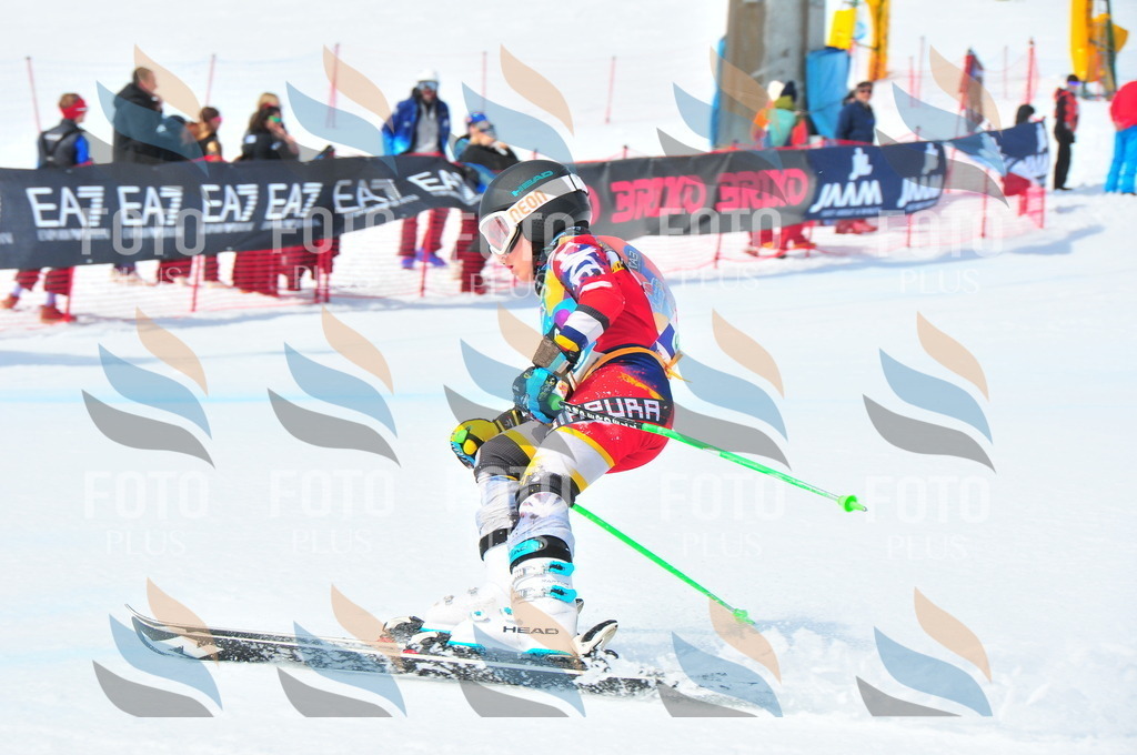 DSC_2931 | holidayphoto